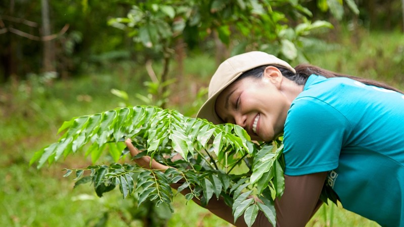 Hoa hậu H’Hen Niê đã trồng được 08 ha rừng trong hai năm qua