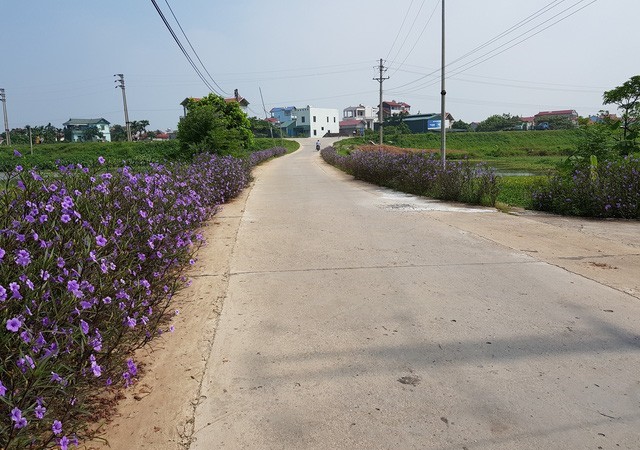 ​  Thành quả xây dựng nông thôn mới tạo nên được những miền quê Thủ đô đáng sống