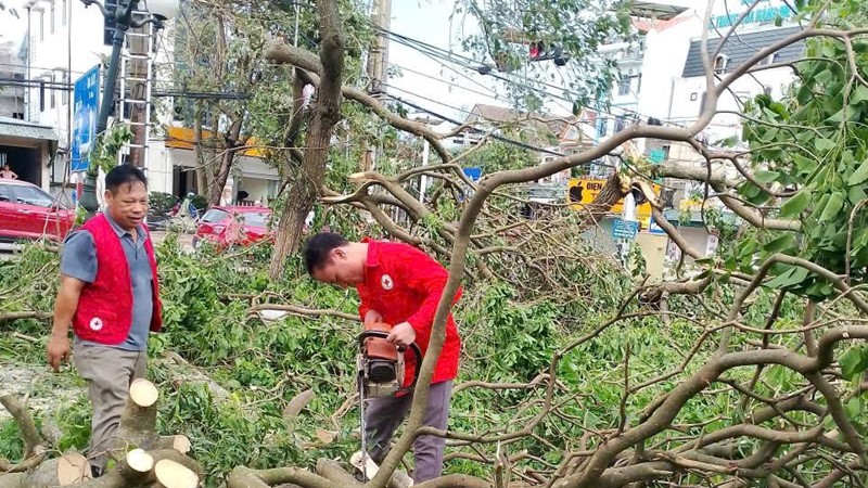 Hội Chữ thập đỏ Việt Nam cứu trợ khẩn cấp người dân 3 tỉnh miền Trung bị thiệt hại do bão số 5