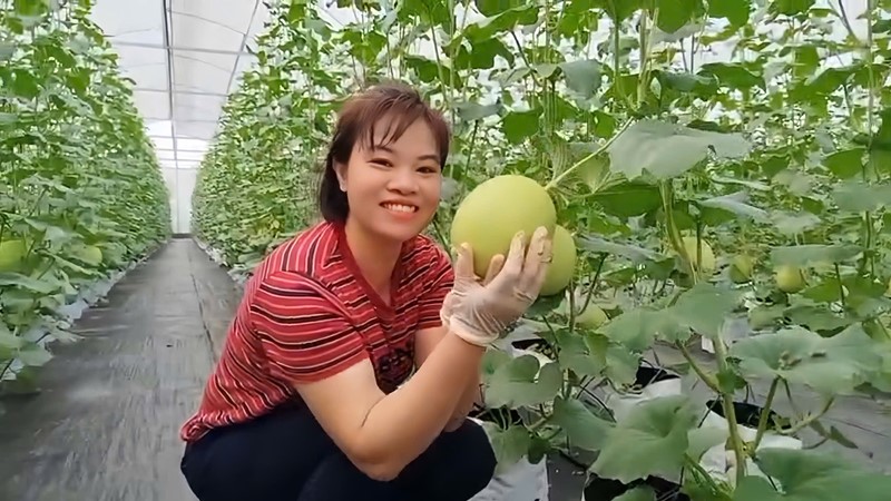 Tấm gương phụ nữ sáng tạo, nhiệt huyết sản xuất nông nghiệp sạch