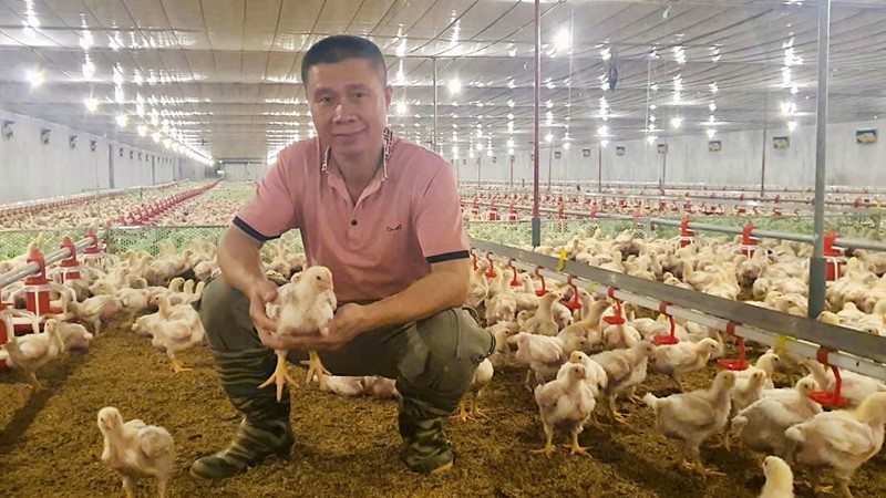 Kỹ sư với mô hình chăn nuôi hiện đại ứng dụng công nghệ số hiệu quả