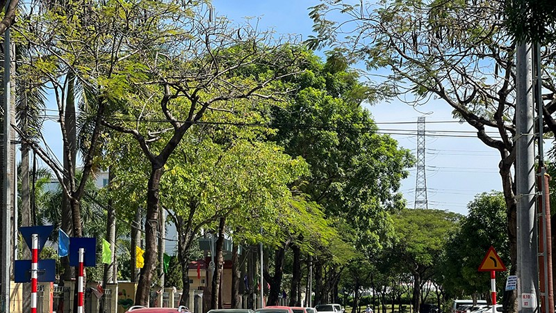 Quận Hoàng Mai: Lan tỏa phong trào làm đẹp môi trường sống trong nhân dân