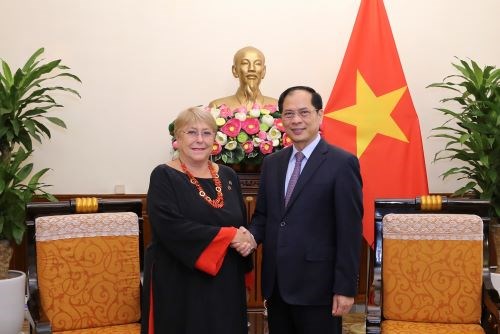 Việt Nam luôn coi trọng mối quan hệ với Chile