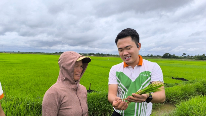 Phân bón Phú Mỹ - chìa khóa cho đất khỏe, cây xanh