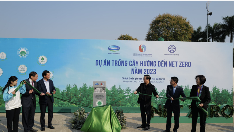 Dự án trồng cây hướng đến Net Zero Carbon của Vinamilk 