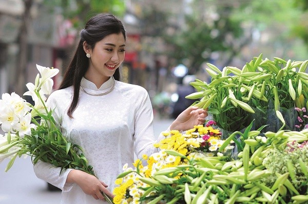 Loa kèn gõ cửa gọi mùa xa
