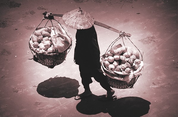 Những quả chuối bọc xốp