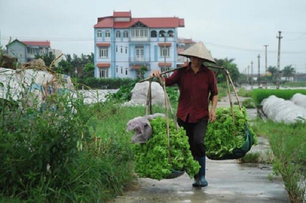 Tháng Tết của mẹ