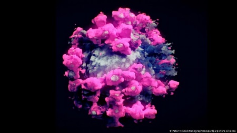 Ảnh 3D thực của virus SARS-CoV-2