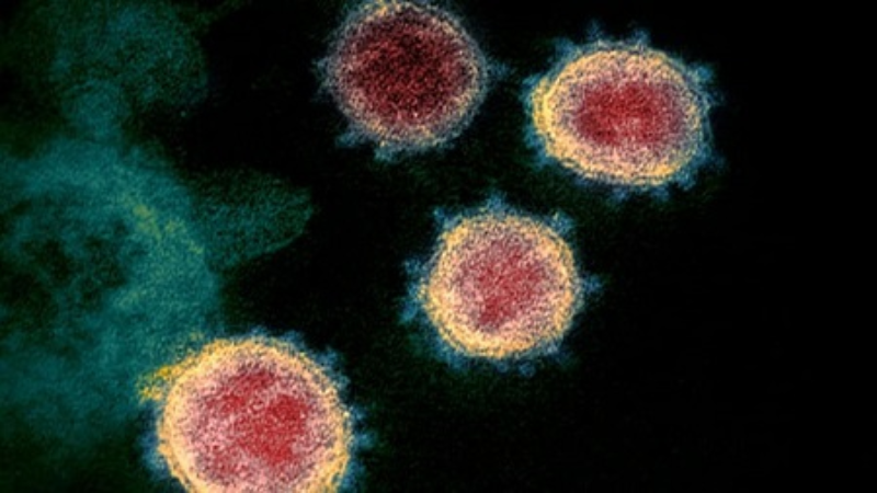 Biến thể SARS-CoV-2 ở Nam Phi làm giảm hiệu quả vaccine