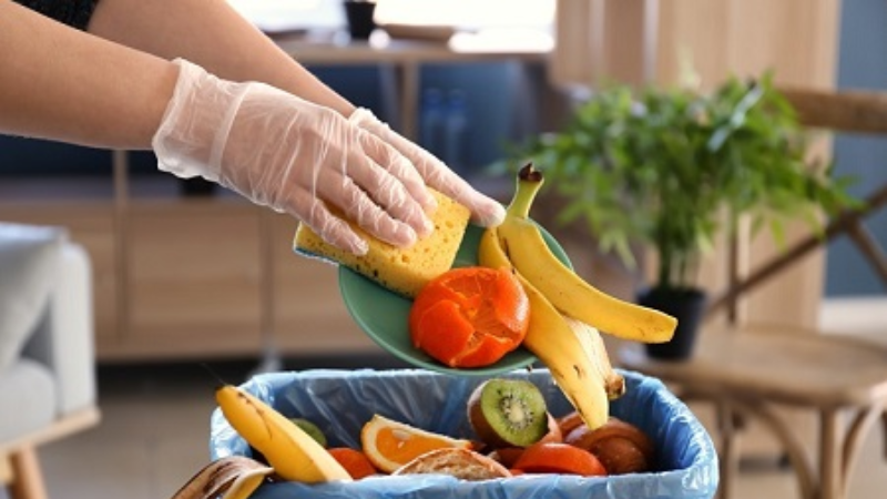 Thế giới lãng phí gần 1 tỷ tấn thực phẩm mỗi năm