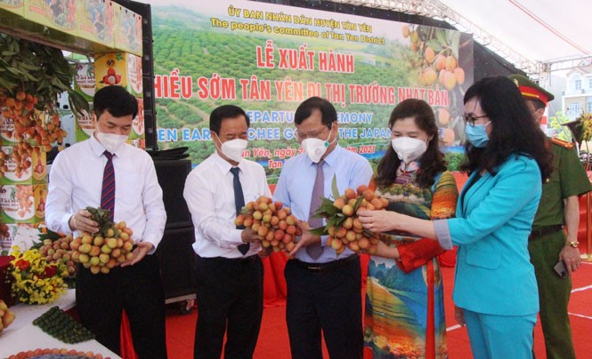 20 tấn vải tươi chín sớm của Bắc Giang được xuất khẩu sang Nhật Bản