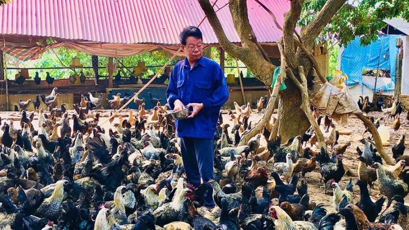 Không còn cảnh “được mùa – mất giá” !
