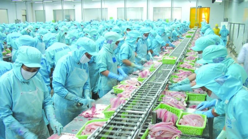 Kỳ vọng xuất khẩu tăng cao vào nửa cuối năm 2021