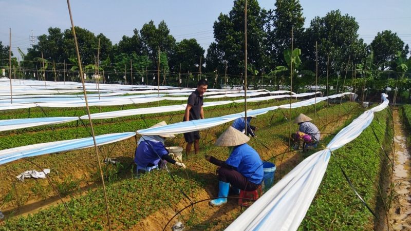 Bài 1: Quyết tâm sản xuất để phục hồi sau khó khăn