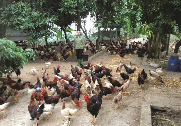 Những bông hoa người tốt việc tốt của phụ nữ Thủ đô