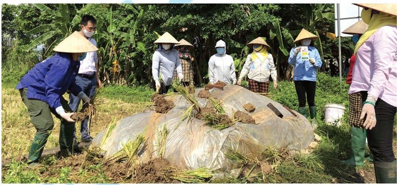 Phụ nữ Sóc Sơn phân loại rác tại nguồn và nói không với đốt rơm rạ sau thu hoạch