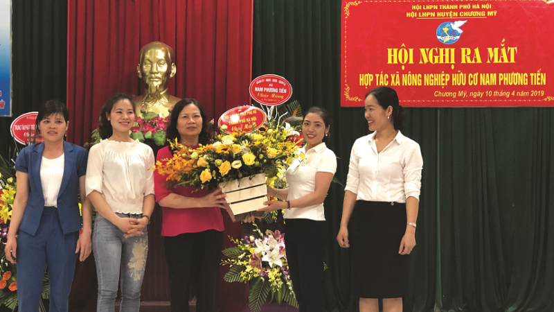Thay đổi cách nghĩ, cách làm từ mô hình kinh tế tập thể