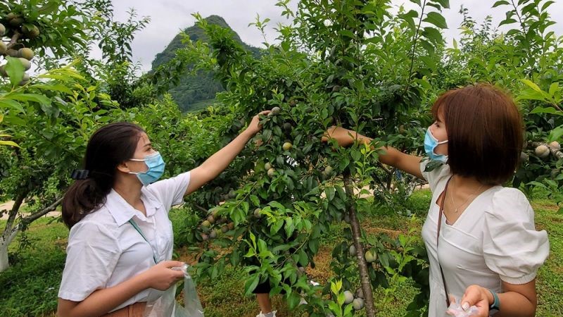 Hậu giãn cách, nhiều địa phương thí điểm du lịch nội địa