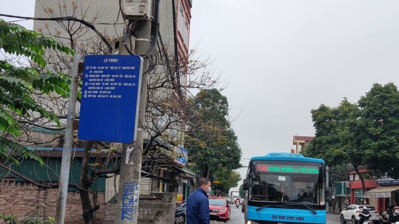 Từ ngày 8/2: Xe buýt Hà Nội hoạt động 100% công suất