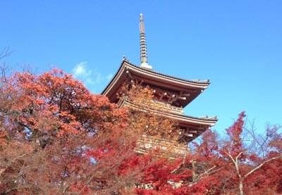 Nhật Bản mùa lá đỏ: Tuyệt tác thiên nhiên - con người
